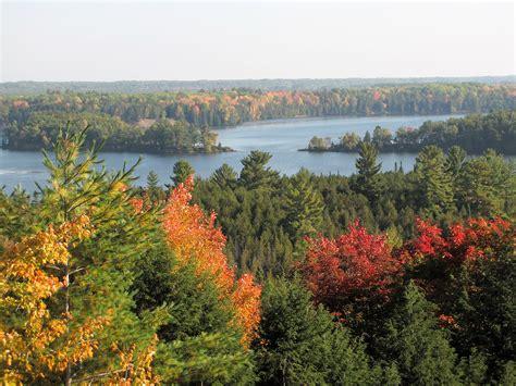 Huron-manistee national forest - 